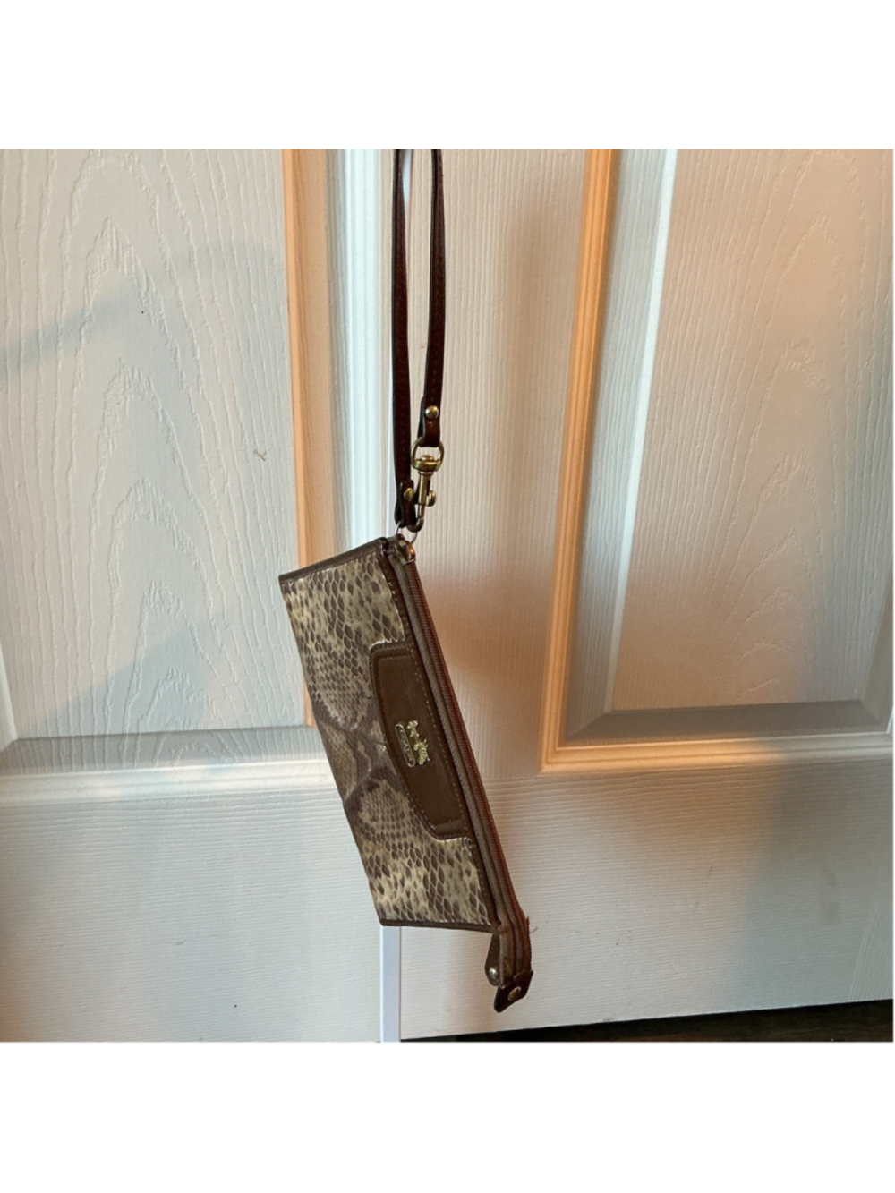 Coach Madison Python Print Wallet